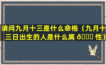 请问九月十三是什么命格（九月十三日出生的人是什么属 🐋 性）